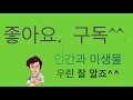 발효 김치 된장간장 한국의 발효식품