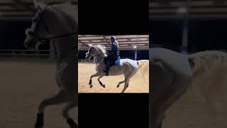 Most Dramatic Refusal #ballerina #horse