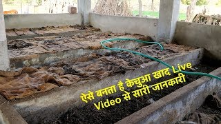 how to Preparing Vermi compost | केंचुवा खाद बनाने की विधि | जैविक खेती | केचुआ की शक्तिशाली खाद | how to Preparing Vermi compost | केंचुवा खाद बनाने की विधि | जैविक खेती | केचुआ की शक्तिशाली खाद |