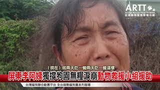 【貓狗聯合勸募】屏東李阿姨獨撐狗園缺糧淚崩 動物救援小組捐糧援助