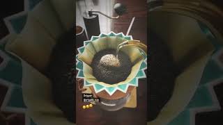 【 福井珈琲 】カメイ珈琲店 オリジナルブレンド#6 毎日飲みたくなる落ち着く味;) #coffeetime #short