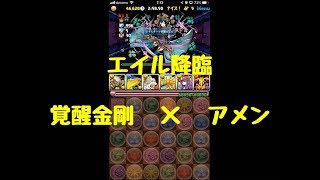 【パズドラ】 19/04/12　エイル降臨　壊滅級　覚醒金剛×アメン（マルチ）