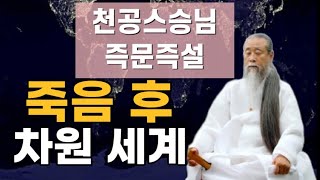 [천공스승님의 정법강의] 우리는 죽은 후 어떻게 되나?