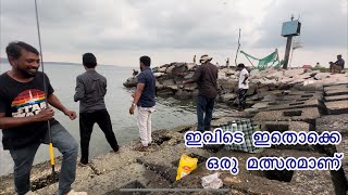 Ayikkara Harbour Fishing | Fish Catching |Amazing Trick |Kannur #fishing #fishing_traps #video