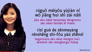 Teresa Teng - Wo Zhi Zai Hu Ni ( I Only Care About You )| Lirik Terjemahan