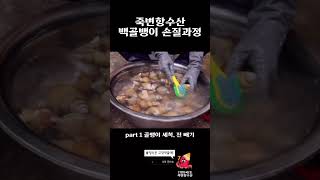 쫄깃고소 백골뱅이 손질 (1) #울진 #수산시장 #asmr