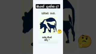 මෙම රූපය තුල සතුන් කීයක් සිටීද ? 🤔 #sort