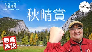 【田倉の予想】秋晴賞 徹底解説！