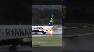 Bird STRIKE & FLAME OUT Ryanair 737 #shorts #aviation #planeaccident