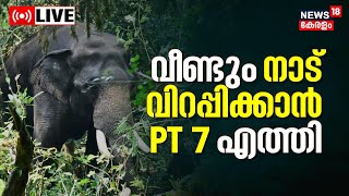 LIVE | Wild Tusker PT7 Creates Havoc In Dhoni | Palakkad | PM2 Elephant | Kerala Elephant News