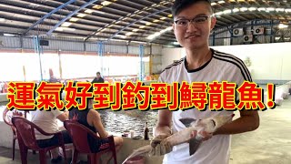 【金牌釣蝦】釣蝦場竟然放鱘龍魚直接開釣!Shrimp fishing in Taiwan 台湾のエビ釣り