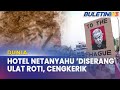 DUNIA | Serangga ‘Berkeliaran’ Di Hotel Netanyahu Menginap