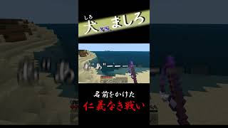 【マイクラ】犬vsましろ 名前をかけた仁義なき戦い #ゲーム実況 #minecraft #マインクラフト #マイクラ