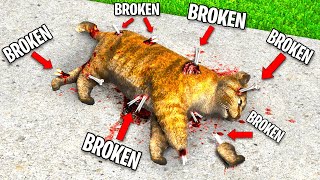 Breaking EVERY BONE As a CAT In GTA 5!