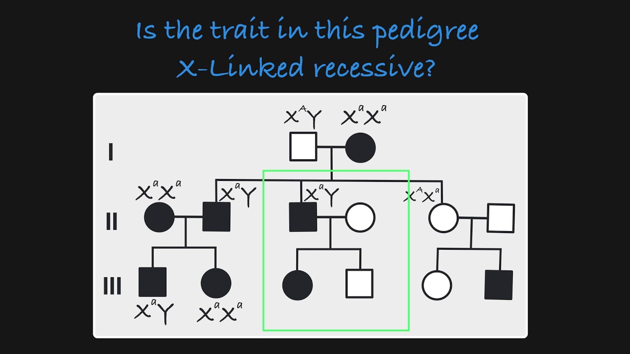 Autosomal Recessive Inheritance Pedigree