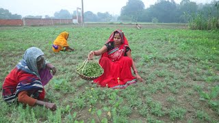 चने का साग बाजरे की रोटी हमारे पूर्वजो की याद दिलादे || chana ka saag Bajre ki Roti