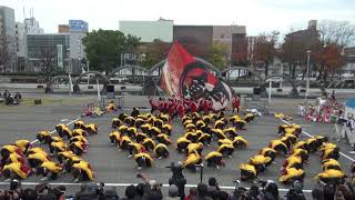 2017 11 26 四日市よさこい　名古屋学生チーム『鯱』　市民公園会場