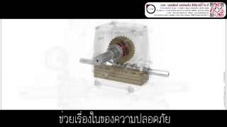 ระบบภายในรอกยกโคมไฟแชนเดอเลียร์ homexpert wormgear