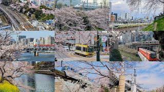 [4K] 東京の桜と鉄道のある風景 2022 （Short Ver.）Scenery with Cherry Blossoms and Railroad in TOKYO,JAPAN