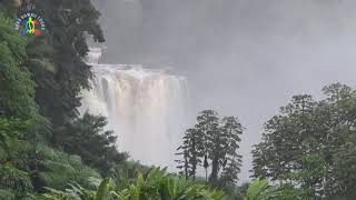 Akaka Falls After A Huge Rain Event January 26th, 2021