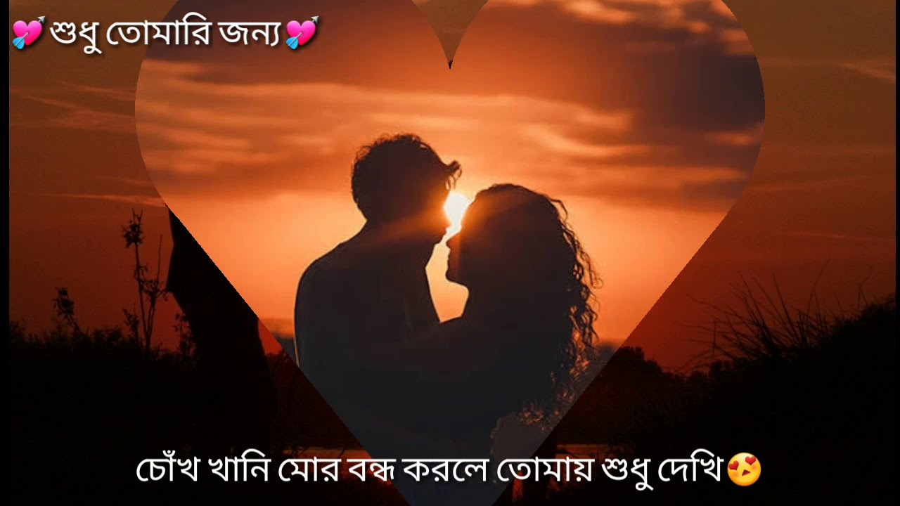 Tumi Purnimari Alo Amar Sonar Moina Pakhi Short Videoрџ њ Youtube Music