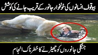 Stupid Humans vs Smart Wild Animals | Most Amazing Wild Animal Attacks | Urdu Cover