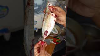 வீட்டிலேயே பாறை மீன் சுத்தம் செய்வது எப்படி how to clean fish at home easily