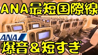 【意外な客層！？】国内線よりも短いソウル🇰🇷→羽田🇯🇵便を利用して帰国すると...