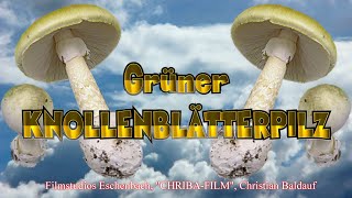 CHRIBA 0815 Wochenendfilm-Grüne Knollenblätterpilz-\