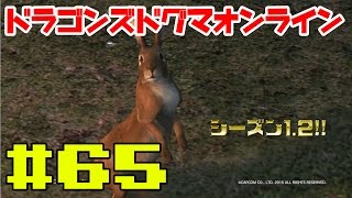 【DDON】シーズン1.2！初プレイしちゃう！とりあえず色々やってみる #65