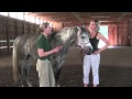 Denise Bean -Raymond Demonstrates Equine Acupressure June 23, 2013- Part 2
