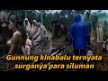 PERTAMA KALI LIVE MISTERI PEGUNUNGAN KINABALU SABAH MALAYSIA . BANTU KAMI SEDULUR