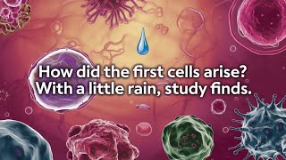 Did Earth's First Cells Form in the Rain? New Groundbreaking Research Explained