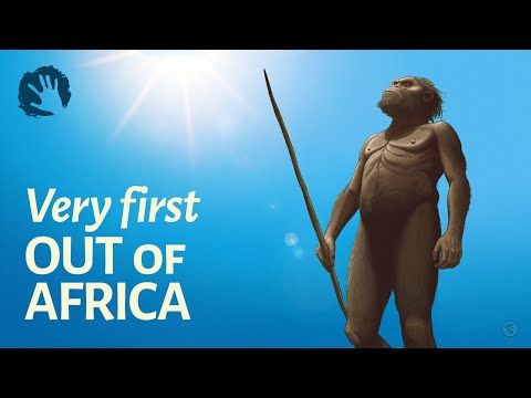 Which hominid left Africa first?