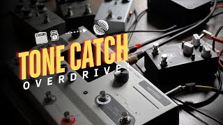 TONE CATCH PEDAIS OVERDRIVES | Hotone Ampero II | Stomp | Stage