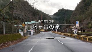 【山口県・岩国市】藤ヶ谷の滝 2024.01 approach