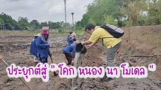 ศูนย์การเรียนรู้เศรษฐกิจพอเพียงและเกษตรทฤษฎีใหม่ บ้านคลอง 6 หมู่ 3