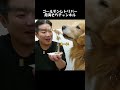 dog that loves natto i want to eat natto for my dad laughs golden retriever ♯ shorts