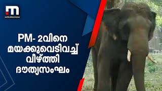 PM- 2വിനെ മയക്കുവെടിവച്ച് വീഴ്ത്തി ദൗത്യസംഘം | Wild Elephant