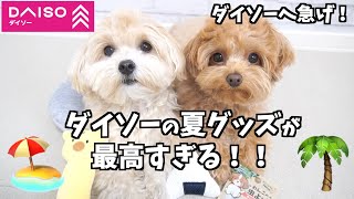 ダイソーの夏のひんやり犬グッズが最高すぎた！おすすめ購入品紹介♪【犬用品】