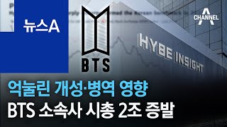 억눌린 개성·병역 영향…BTS 소속사 시총 2조 증발 | 뉴스A