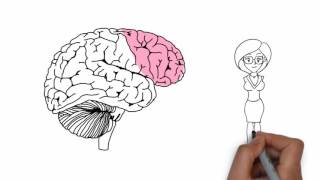 Chiropractic Research: Prefrontal Cortex