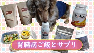 腎臓病【シニア犬】ご飯とサプリ！ドッグフードは超オススメ！