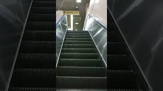 丸ノ内線茗荷谷駅エスカレーター三菱 Tokyometro MarunouchiLine Myogadani station Escalator MITSUBISHI #shorts