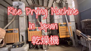 稲刈りVlog | 乾燥機 | Drying Machine