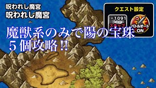 【DQMSL】呪われし魔宮　魔獣系のみで陽の宝珠５個攻略‼︎