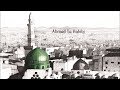Ahmad Ya Habibi Salam Alaik | Ali Elsayed Nasheed (video)