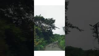 ride through kondapalli ghat road #shorts