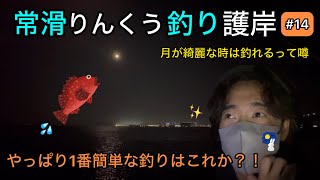 【常滑りんくう釣り護岸】1番簡単な釣り ロックフィッシュ編