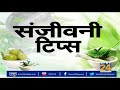 sanjeevani बारिश के सुहाने मौसम में कैसे करें खतरनाक बीमारियों से बचाव news24